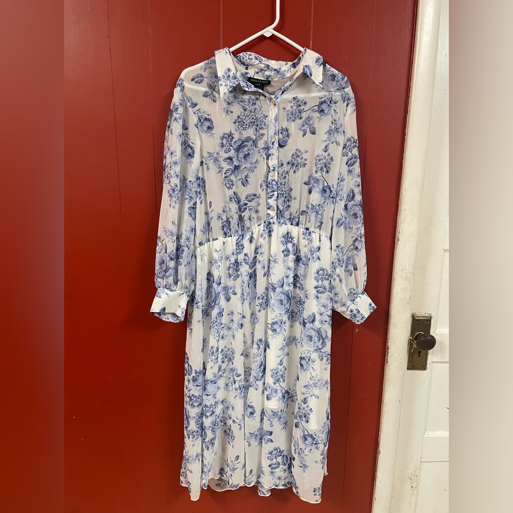 Blue and white floral dress